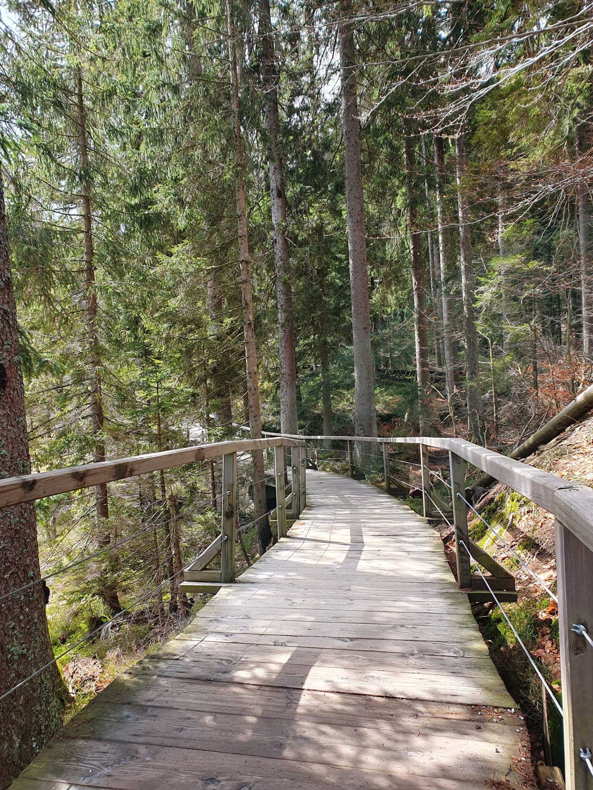 Ich begleite dich auf deinem Weg zu mehr Klarheit und Orientierung